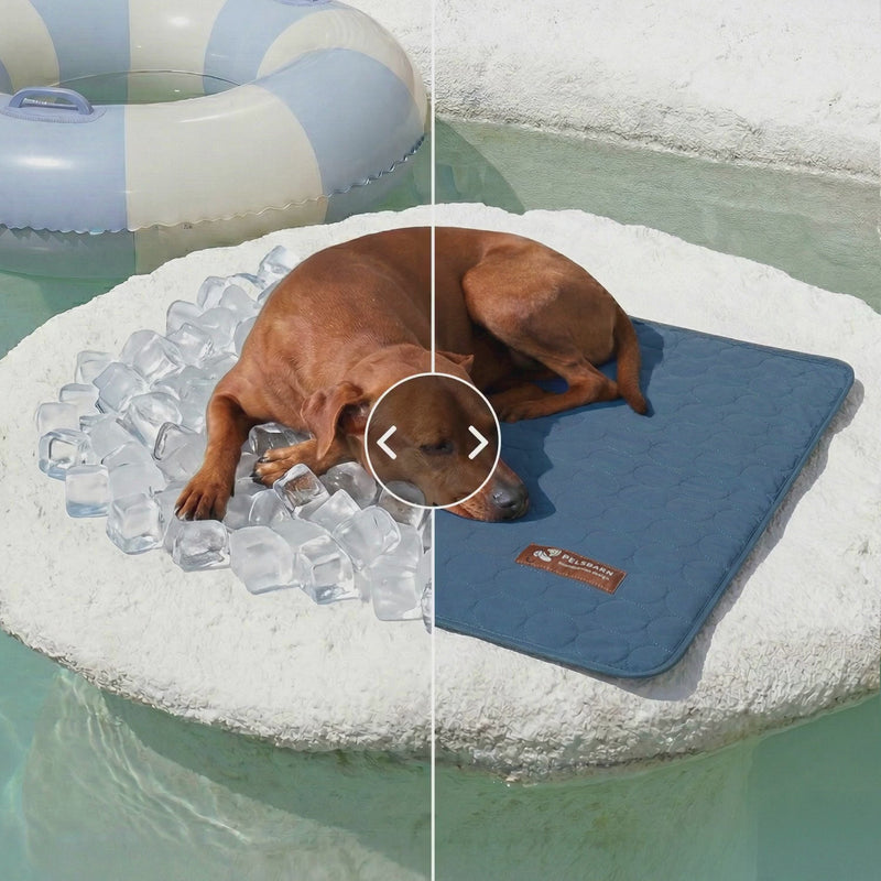 Fallback Image