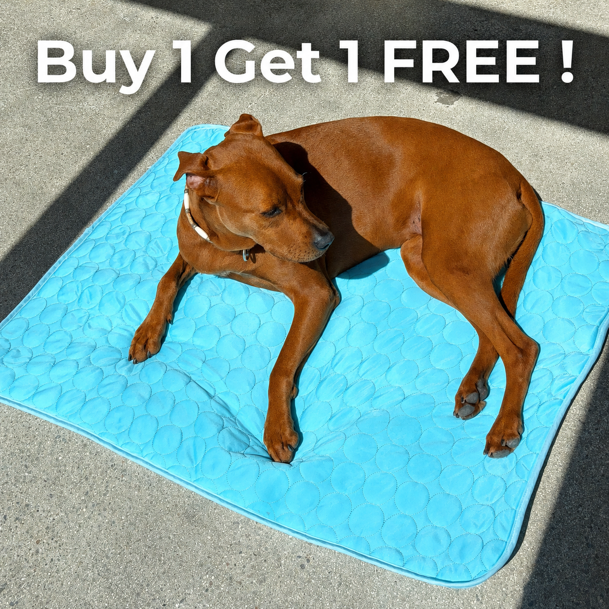 Dog Cooling Mat for Summer | Cooling Pet Mat for Dogs