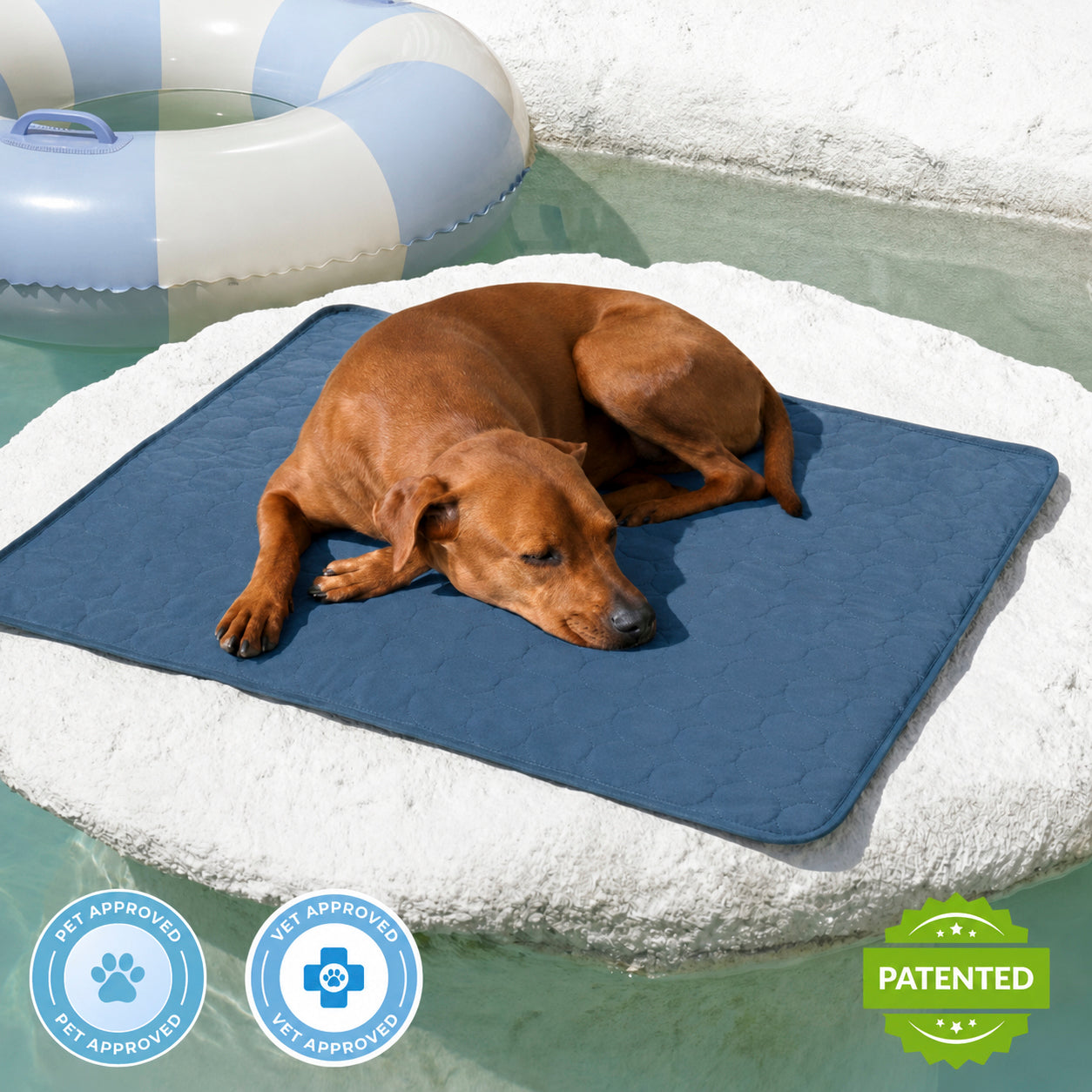 Dog Cooling Mat for Summer | Cooling Pet Mat for Dogs
