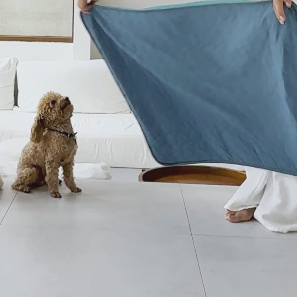 Dog Cooling Mat for Summer | Cooling Pet Mat for Dogs